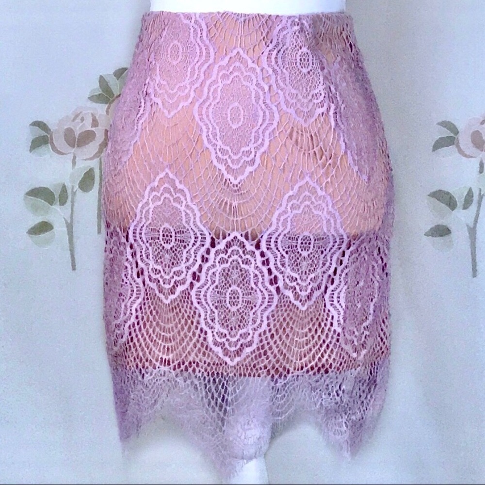 Lulus Lace Skirt